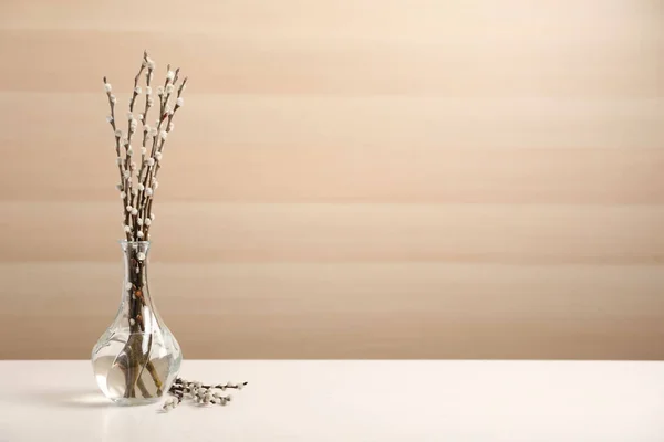 Beautiful Pussy Willow Branches White Table Space Text — Stock fotografie