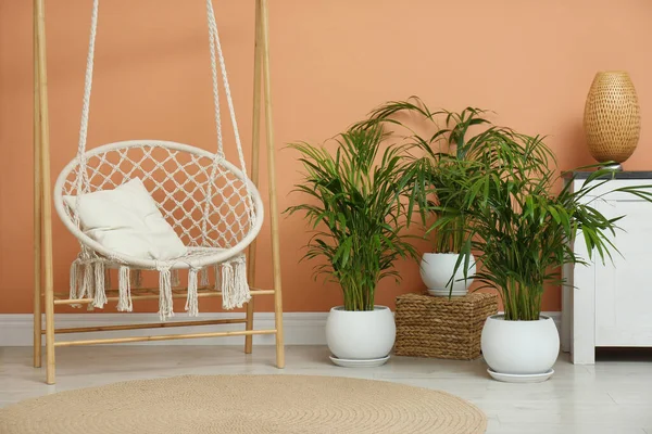 Όμορφη Εξωτικά Φυτά Σπίτι Και Κούνια Καρέκλα Στο Δωμάτιο Εσωτερική — Φωτογραφία Αρχείου