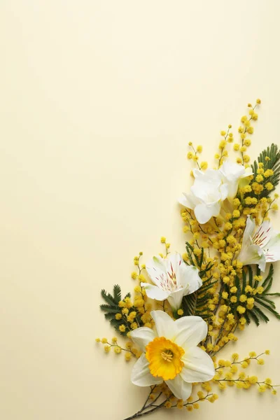 Hermosa Composición Floral Con Flores Mimosas Sobre Fondo Beige Disposición — Foto de Stock