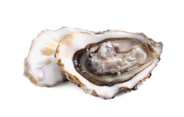 Beyaz arka planda taze çiğ istiridye.