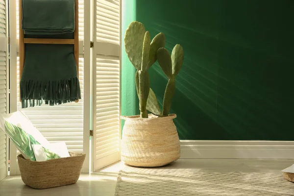 Verpotte Cactus Bij Groene Muur Binnenshuis Ruimte Voor Tekst — Stockfoto