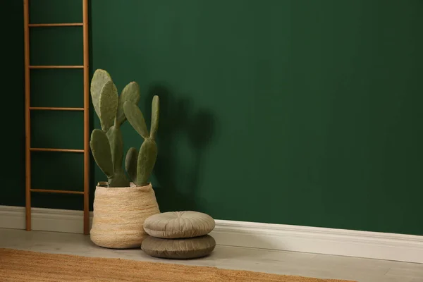 Cacto Vaso Perto Parede Verde Dentro Casa Espaço Para Texto — Fotografia de Stock