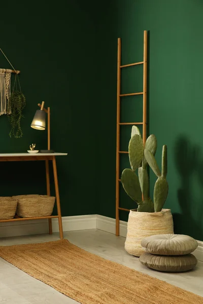 Cactus Pot Près Mur Vert Dans Chambre — Photo