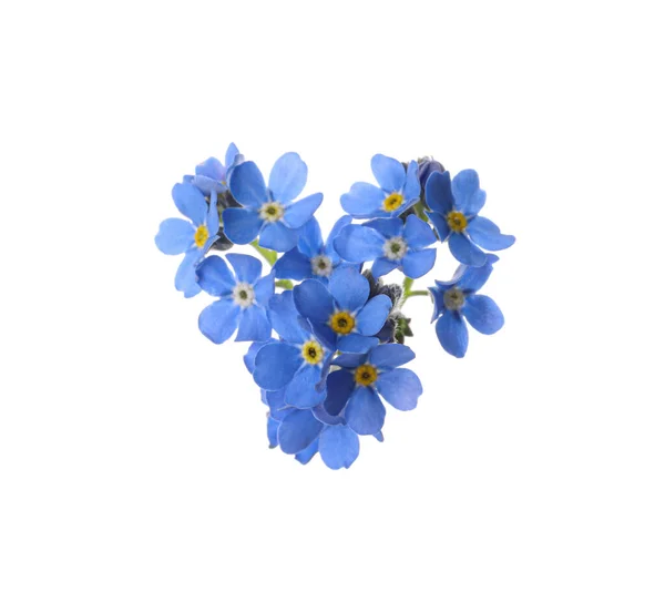 Heart Made Blue Forget Flowers Isolated White — Stock Photo, Image