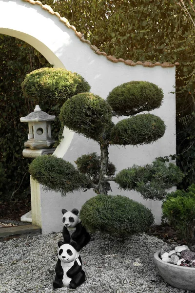 Beautiful Bonsai Tree Panda Sculptures Garden — Stock Photo, Image