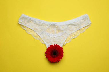 Sarı arka planda kadın külotu ve kırmızı gerbera çiçeği.