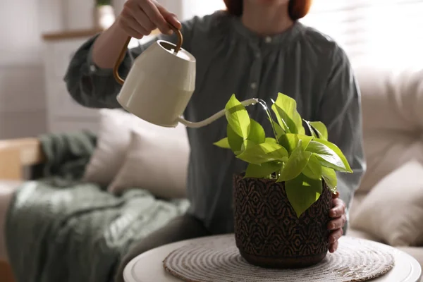 Mulher Molhando Planta Potted Bonita Dentro Casa Closeup Decoração Casa — Fotografia de Stock