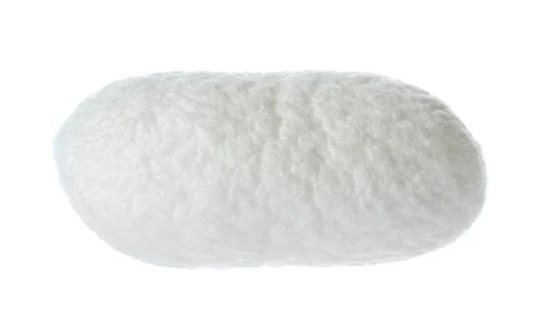 Beautiful Natural Silkworm Cocoon Isolated White — Stock Photo, Image