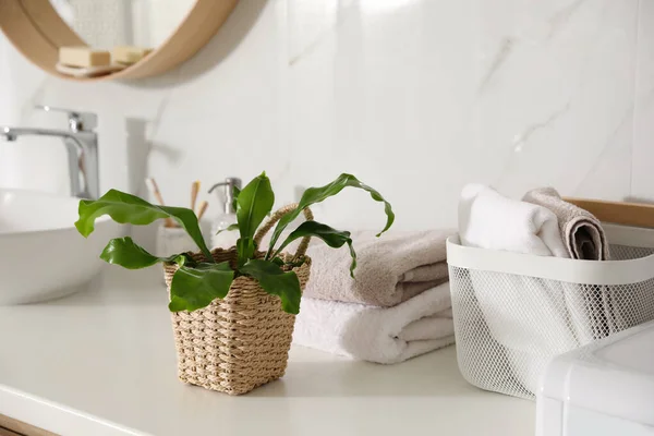 Mooie Groene Varen Handdoeken Aanrecht Badkamer — Stockfoto