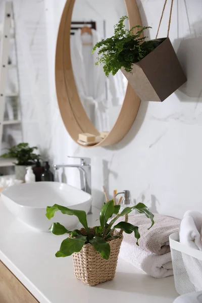 バスルームの美しい緑のシダとタオル — ストック写真
