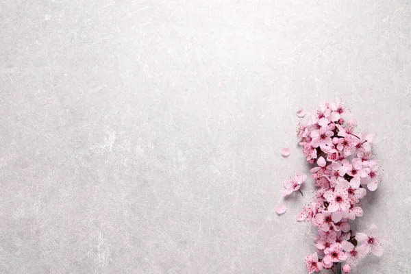 Sakura Boomtak Met Mooie Roze Bloesems Licht Stenen Tafel Plat — Stockfoto