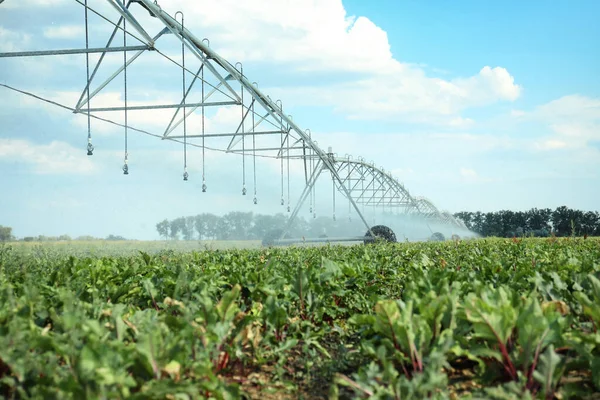 Centre Système Irrigation Pivot Arrosage Champ Agricole — Photo