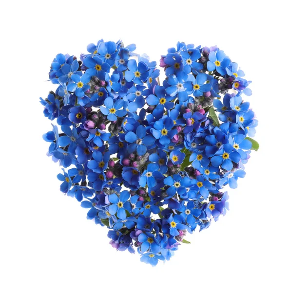 Serce Wykonane Niebieskich Nie Zapomnij Mnie Kwiaty Odizolowane Białym — Zdjęcie stockowe