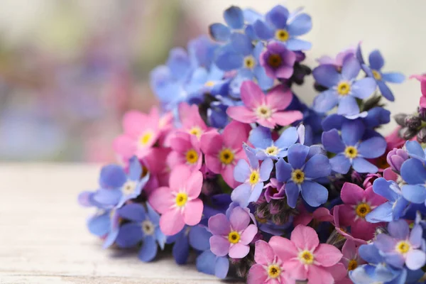 Lindas Flores Azuis Rosa Esqueça Não Mesa Branca — Fotografia de Stock