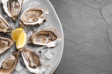 Siyah masa üzerinde servis edilen limon dilimli leziz taze istiridyeler, üst manzara. Metin için boşluk