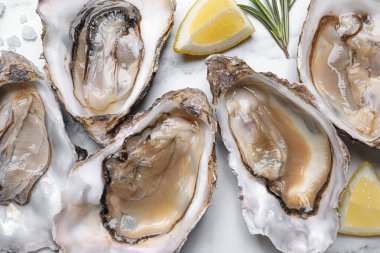 Beyaz mermer masada limonlu ve biberiyeli taze istiridye.