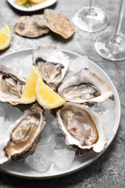 Limonlu ve buzlu taze istiridye, yakın plan.