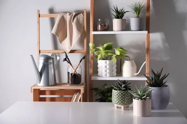 Schöne Zimmerpflanzen Und Gartengeräte Der Nähe Weißer Wände — Stockfoto