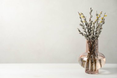 Beautiful pussy willow branches in vase on white table, space for text