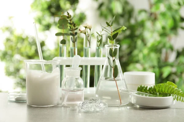 Ingredienti Naturali Prodotti Cosmetici Vetreria Laboratorio Tavola Grigia Fondo Verde — Foto Stock