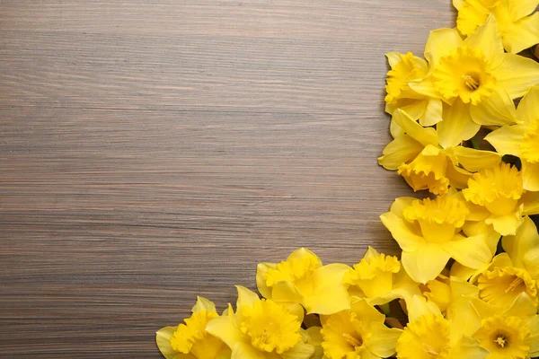 Hermosos Narcisos Mesa Madera Puesta Plana Espacio Para Texto —  Fotos de Stock