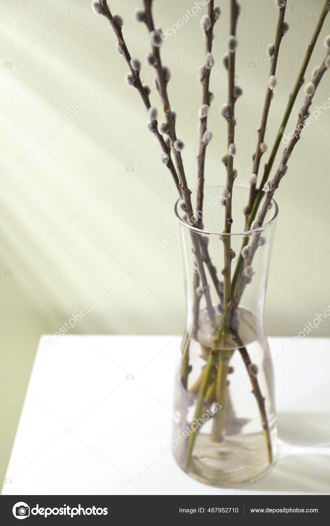 Glass Vase Pussy Willow Tree Branches White Table Light Green Stock Photo  by ©NewAfrica 467952710