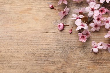 Tahta masada güzel bahar ağaçları çiçek açar, düz uzanır. Metin için boşluk