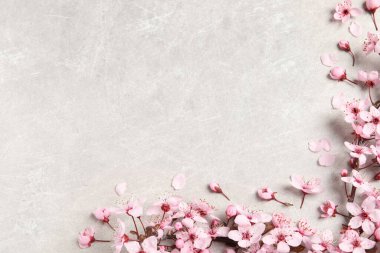 Çiçek açan bahar ağacı dalları, düz bir şekilde, aydınlık taş masa üzerinde uzanır. Metin için boşluk