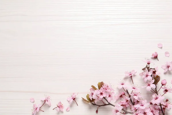Beautiful Spring Tree Blossoms Border White Wooden Table Flat Lay — Stock Photo, Image