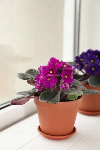 Bunga Violet Yang Indah Jendela Kayu Putih Delicate Rumah Tanaman — Stok Foto