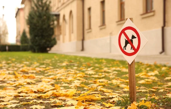 Não São Permitidos Cães Assinar Parque Dia Ensolarado Outono — Fotografia de Stock