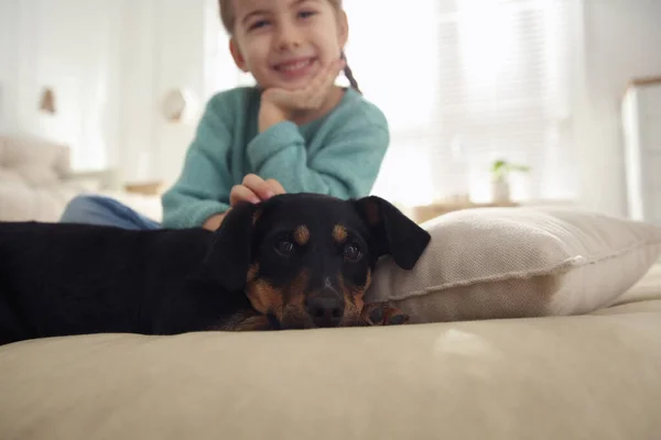 Bambina Con Cucciolo Carino Casa Concentrarsi Sull Animale Domestico — Foto Stock