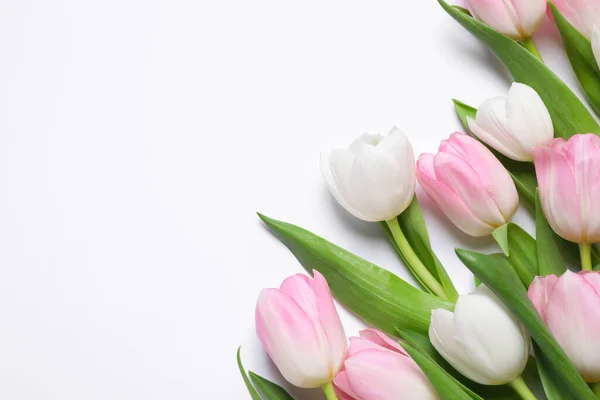 Розовые Весенние Тюльпаны Белом Фоне Вид Сверху Пространство Текста — стоковое фото