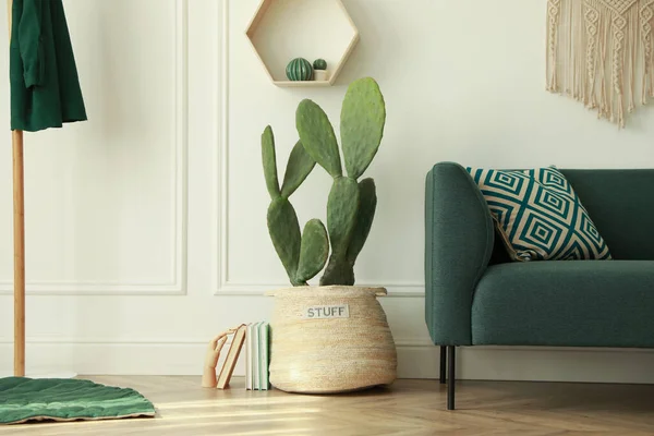 Stijlvolle Woonkamer Interieur Met Prachtige Potted Cactus Moderne Meubels — Stockfoto