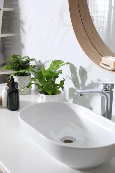 浴室台面上漂亮的绿色蕨类和卫生用品 — 图库照片