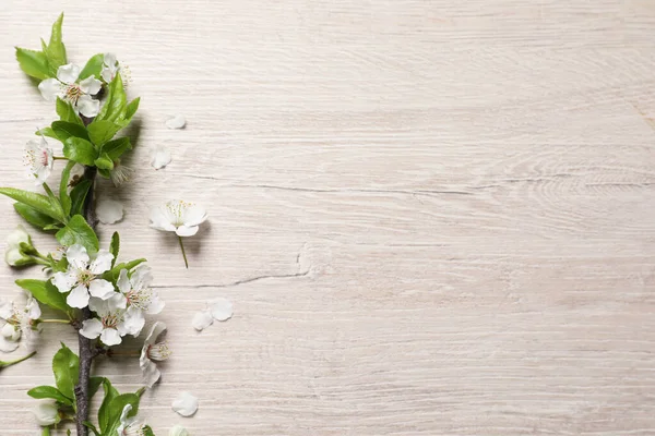 Kersenboom Tak Met Mooie Bloesems Witte Houten Tafel Plat Gelegd — Stockfoto