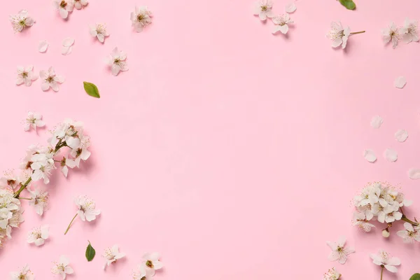 Frame of spring tree blossoms on pink background, flat lay. Space for text