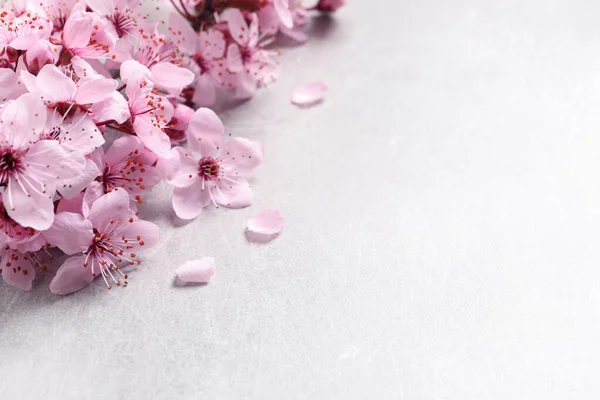 Sakura Boomtak Met Mooie Roze Bloesems Licht Stenen Tafel Close — Stockfoto