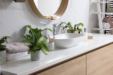 Güzel yeşil eğrelti otları ve banyo tezgahında tuvalet malzemeleri.