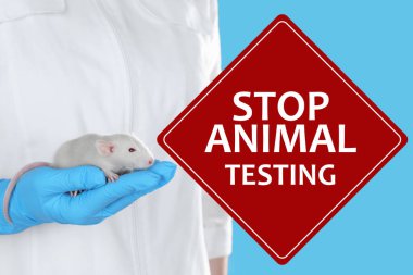 ANIMAL TESTİNGİSTİSTİSTİSTİST açık mavi arkaplanda fareyi tutuyor, yakın plan