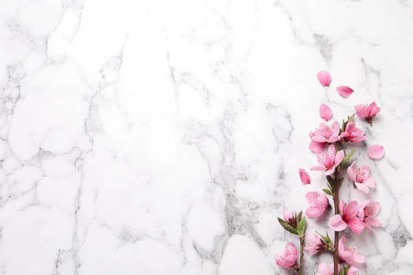 Prachtige Sakura Boom Bloeit Witte Marmeren Achtergrond Plat Gelegd Ruimte — Stockfoto