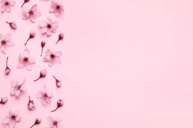 Pembe arka planda güzel bahar ağaçları çiçek açar, düz bir zeminde. Metin için boşluk