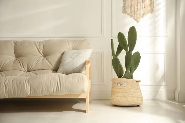 Interior Elegante Quarto Com Belo Cacto Vaso — Fotografia de Stock