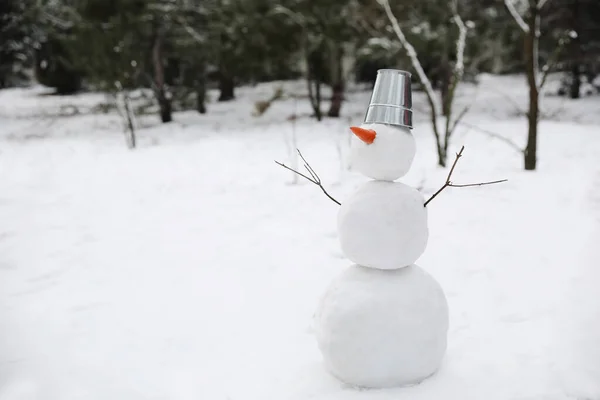 Милий Сніговик Металевим Відром Морквяним Носом Відкритому Повітрі Зимовий День — стокове фото