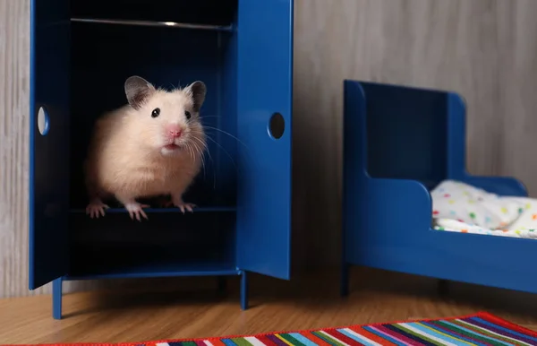 Bedårande Hamster Inuti Liten Garderob Rummet Med Leksaksmöbler — Stockfoto