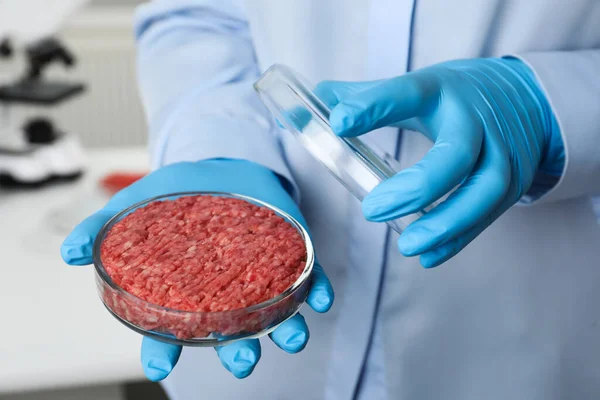 Científico Sosteniendo Petri Plato Con Carne Picada Cultivada Laboratorio Primer —  Fotos de Stock