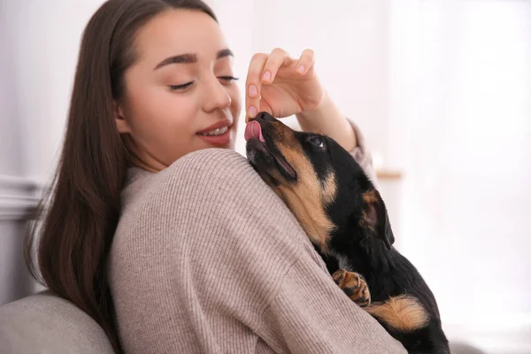 Mulher Com Cachorrinho Bonito Dentro Casa Bonito Animal Estimação — Fotografia de Stock