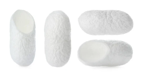 白を基調とした天然蚕繭をセット バナーデザイン — ストック写真