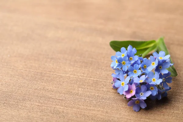 Linda Flor Azul Esqueça Não Mesa Madeira Espaço Para Texto — Fotografia de Stock