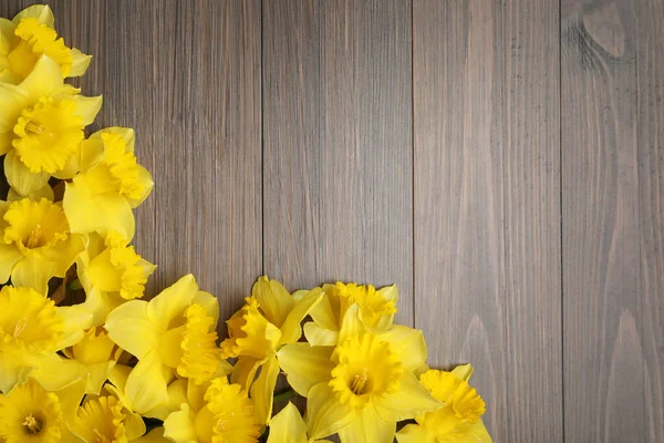 Hermosos Narcisos Mesa Madera Puesta Plana Espacio Para Texto —  Fotos de Stock